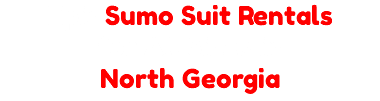 Epic Sumo Suit Rentals for All Sizes in North Georgia